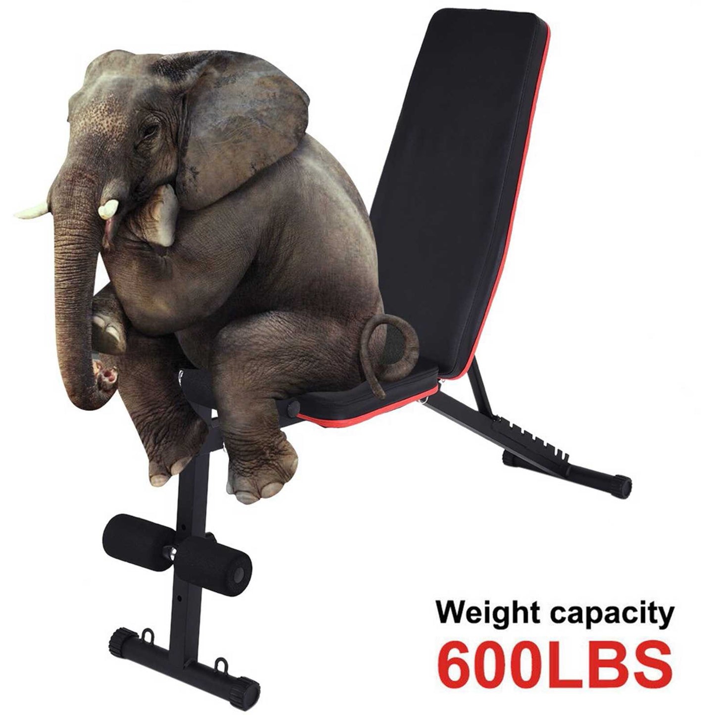 Adjustable Sit Up Incline Abs Bench Flat Fly Weight Press Fitness Rope