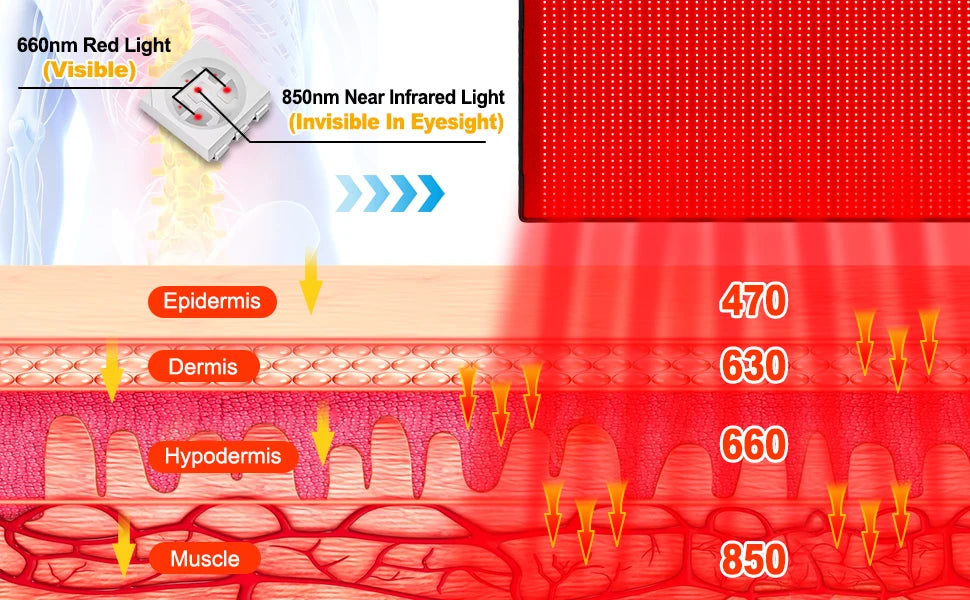 Large Red Light Therapy Pad, Dual Chip 660&850 nm Red&Infrared Light Therapy for Body Back Waist Shoulder Knee Joint Pain Relief